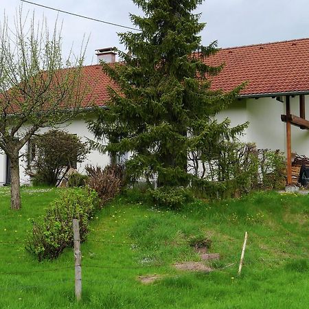 Cosy Apartment In Allg U With Garden Oy-Mittelberg Esterno foto
