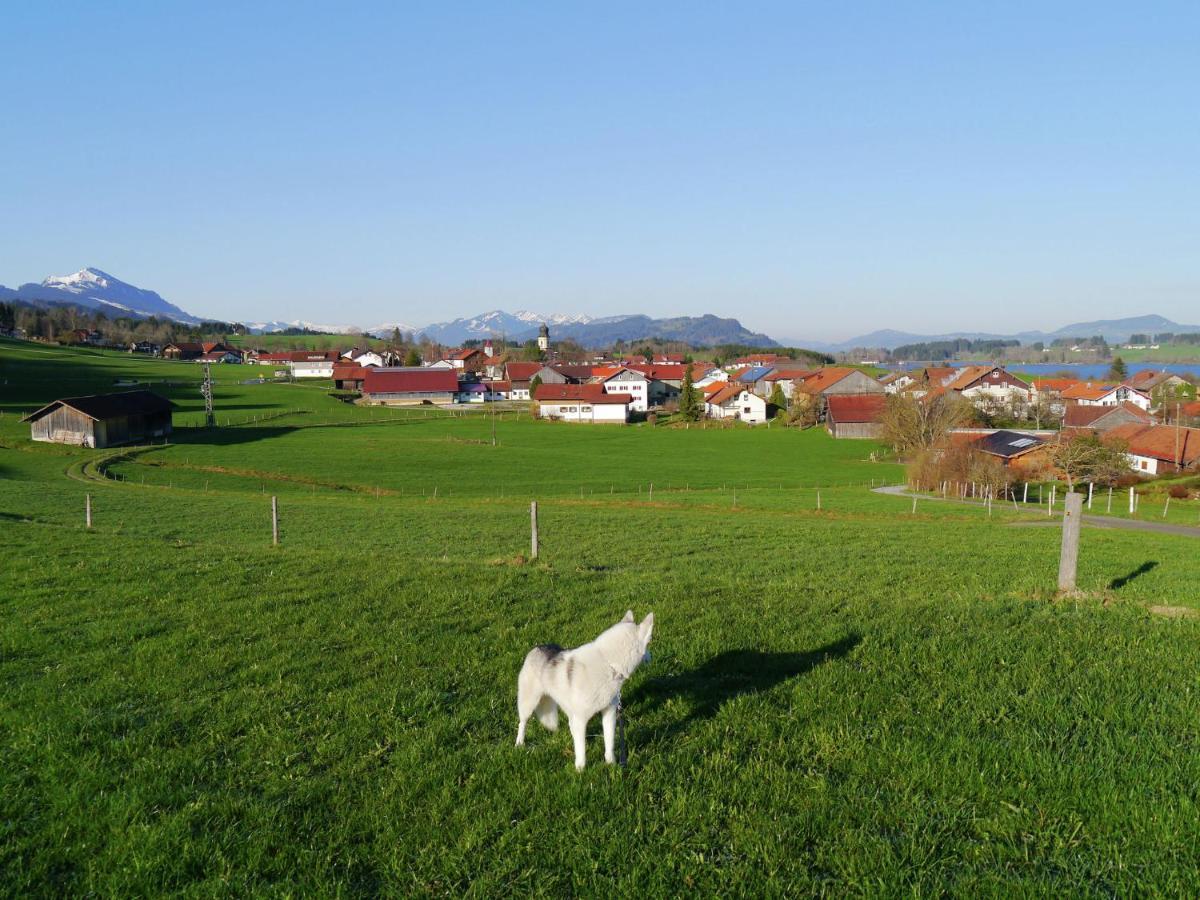 Cosy Apartment In Allg U With Garden Oy-Mittelberg Esterno foto